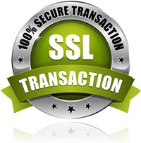 SSL Secured Taxi Website